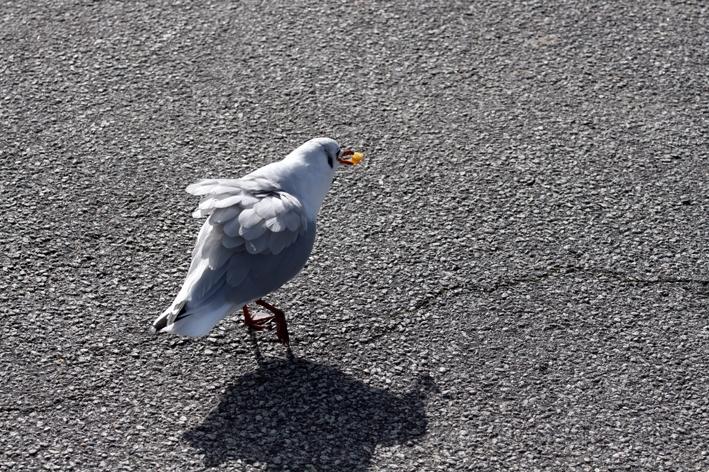 Die Moeve 8.jpg - Schnell weg!